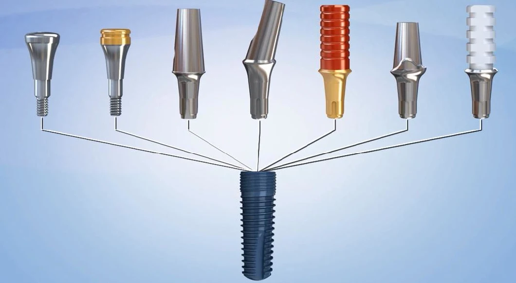 Orthodontic Micro Implant / Micro Screw / Titanium Dental Implant Screw